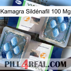 Kamagra Sildénafil 100 Mg viagra5